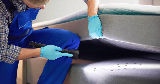 Best Flea Control Services  in Sardis City, AL
